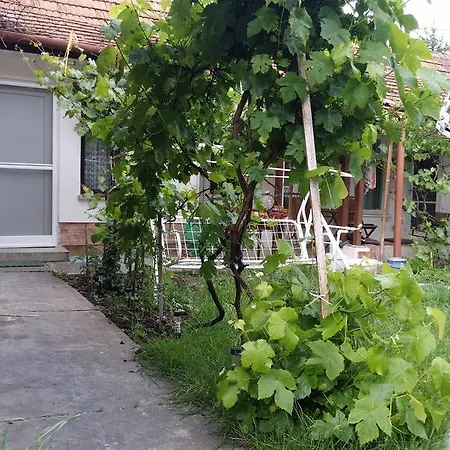 Boris Apartman Gyula