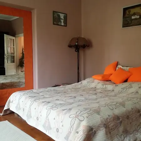 Boris Apartman דירה *