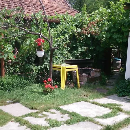 Boris Apartman * גיולה