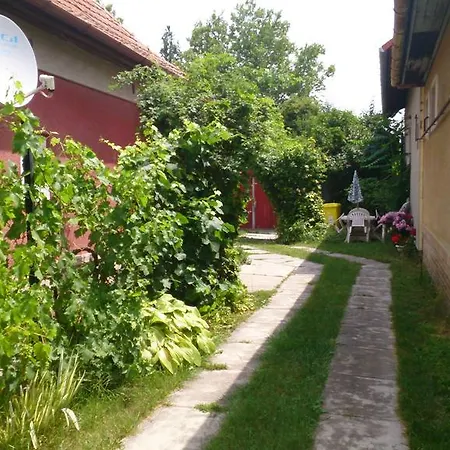 Boris Apartman * Gyula
